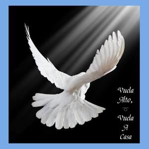 Meet your Posher, Lucy